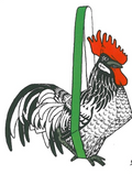 The Cock